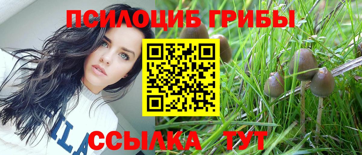 Галлюциногенные грибы Cubensis  Галлюциногенные грибы ЛСД  Обь  Вход с VPN 